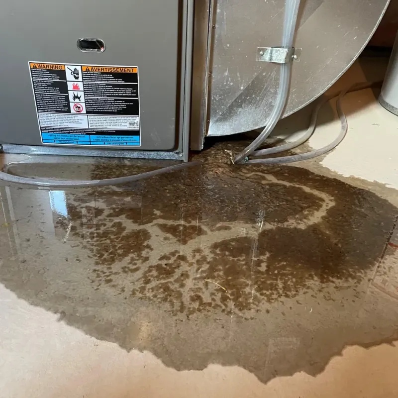 Appliance Leak Cleanup in Buena Vista, PR